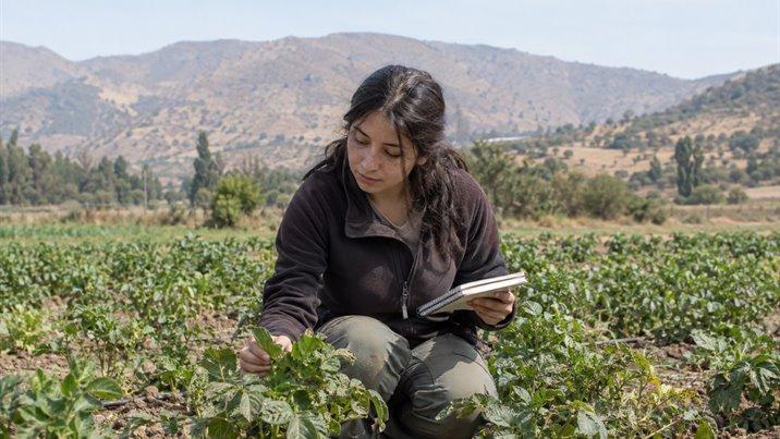 Una estudiante agachada en un campo de cultivo revisa las plantas con una libreta en la mano